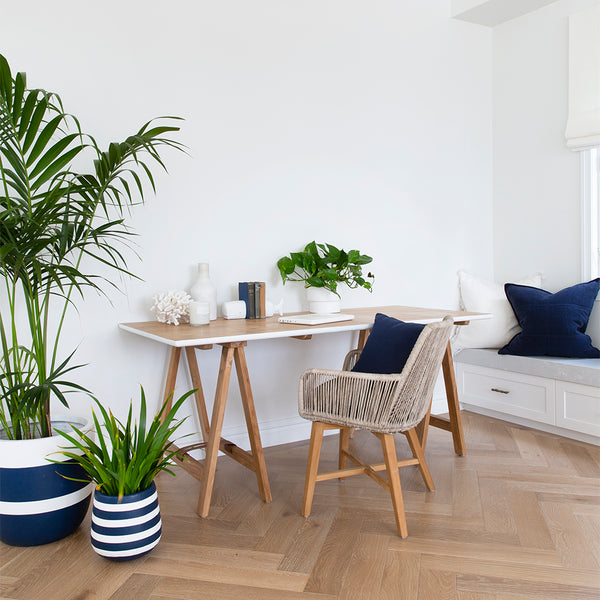 Benefits of Indoor Plants in your home
