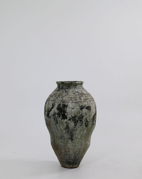 CAVARA POT
