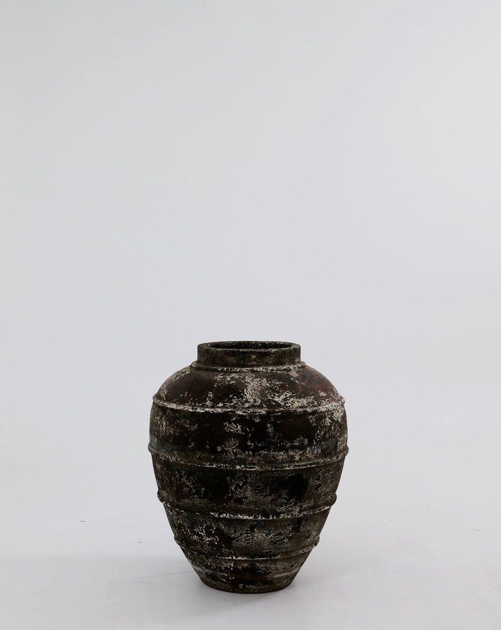 CERUNA POT