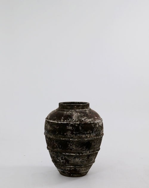 CERUNA POT