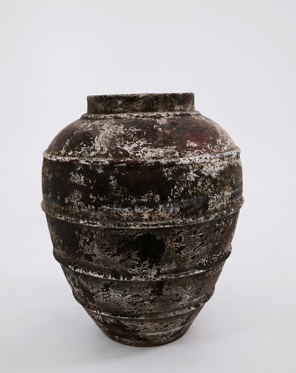 CERUNA POT
