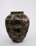 CERUNA POT