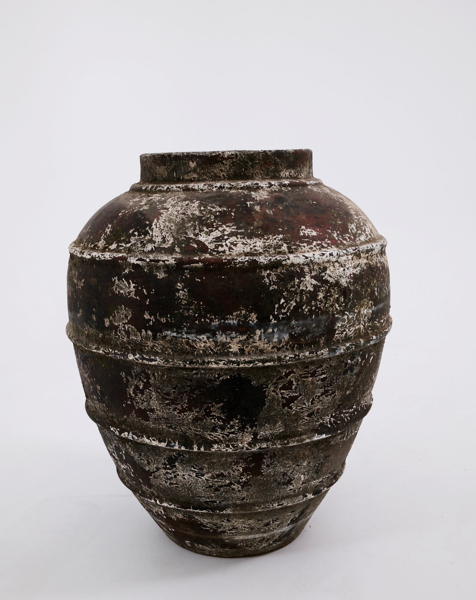 CERUNA POT