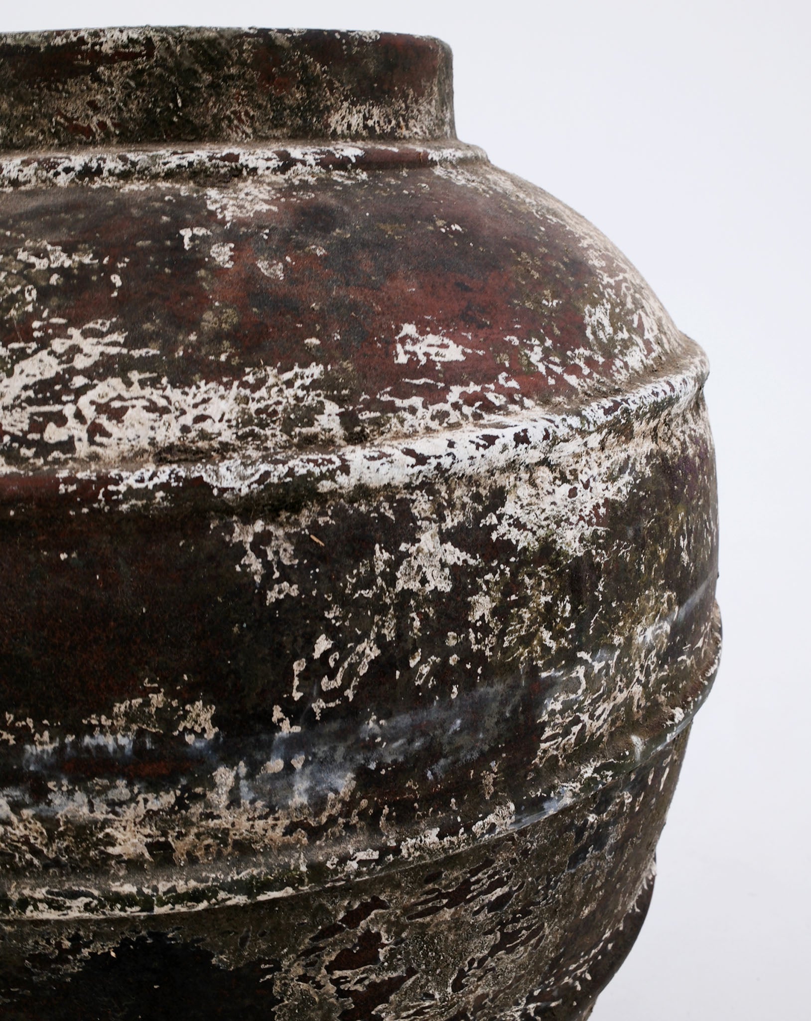 CERUNA POT