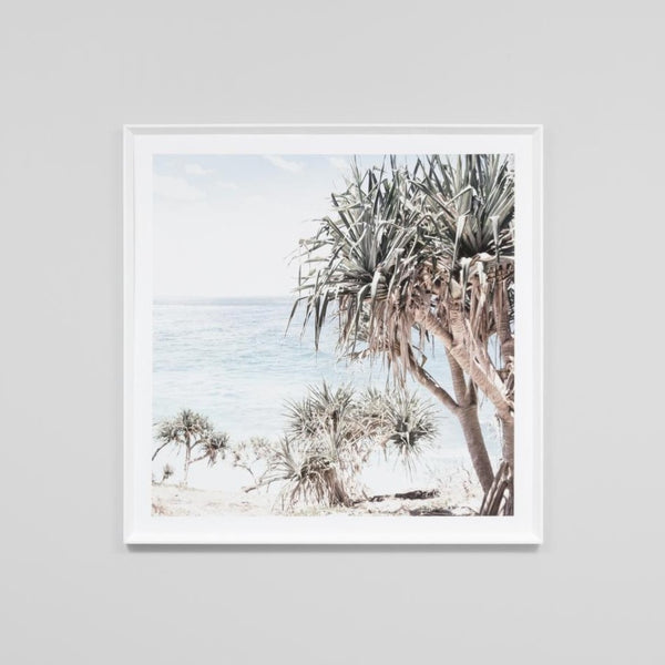 Coastal Palms Framed Print